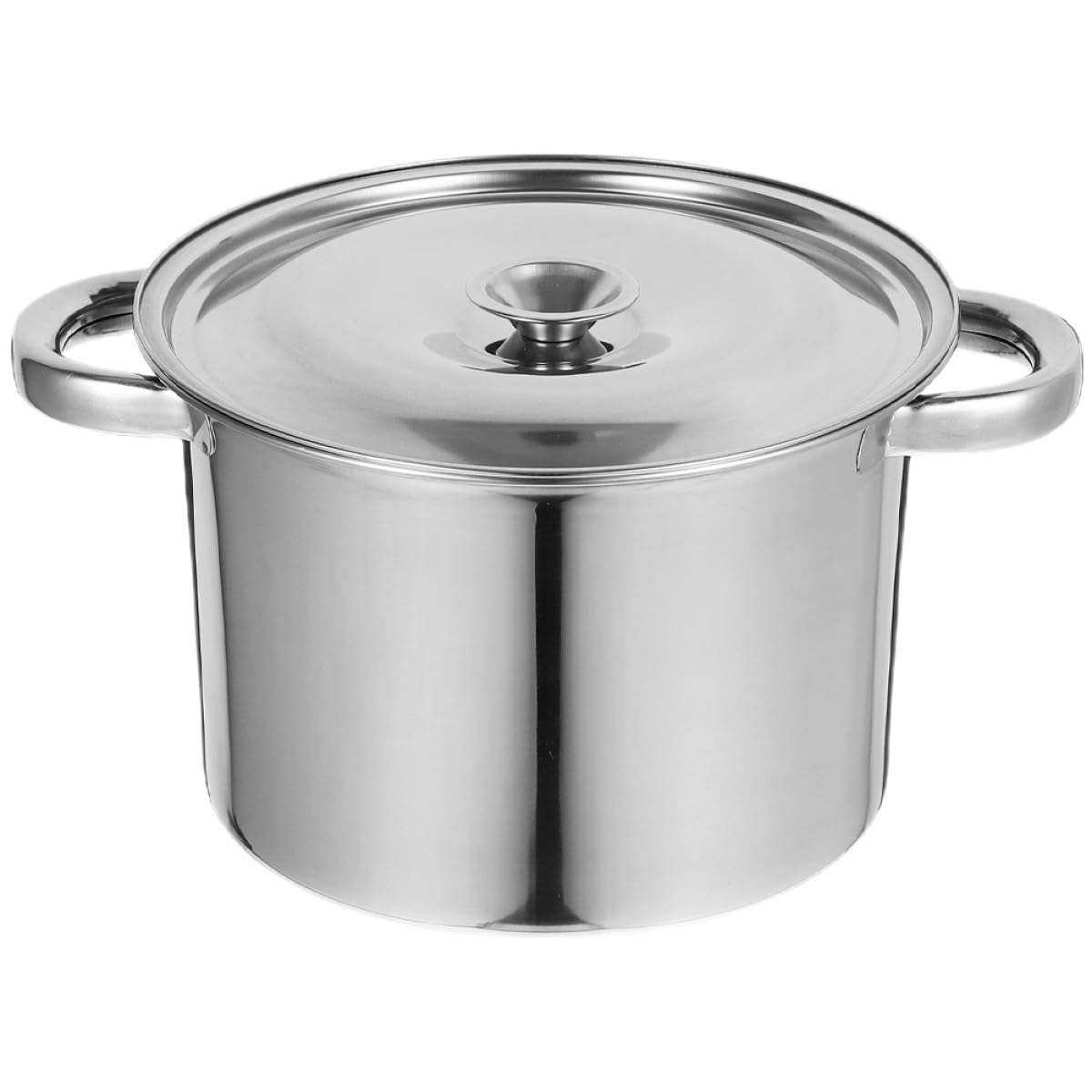 Stainless Steel Double Handle Stock Pot with Lid X998