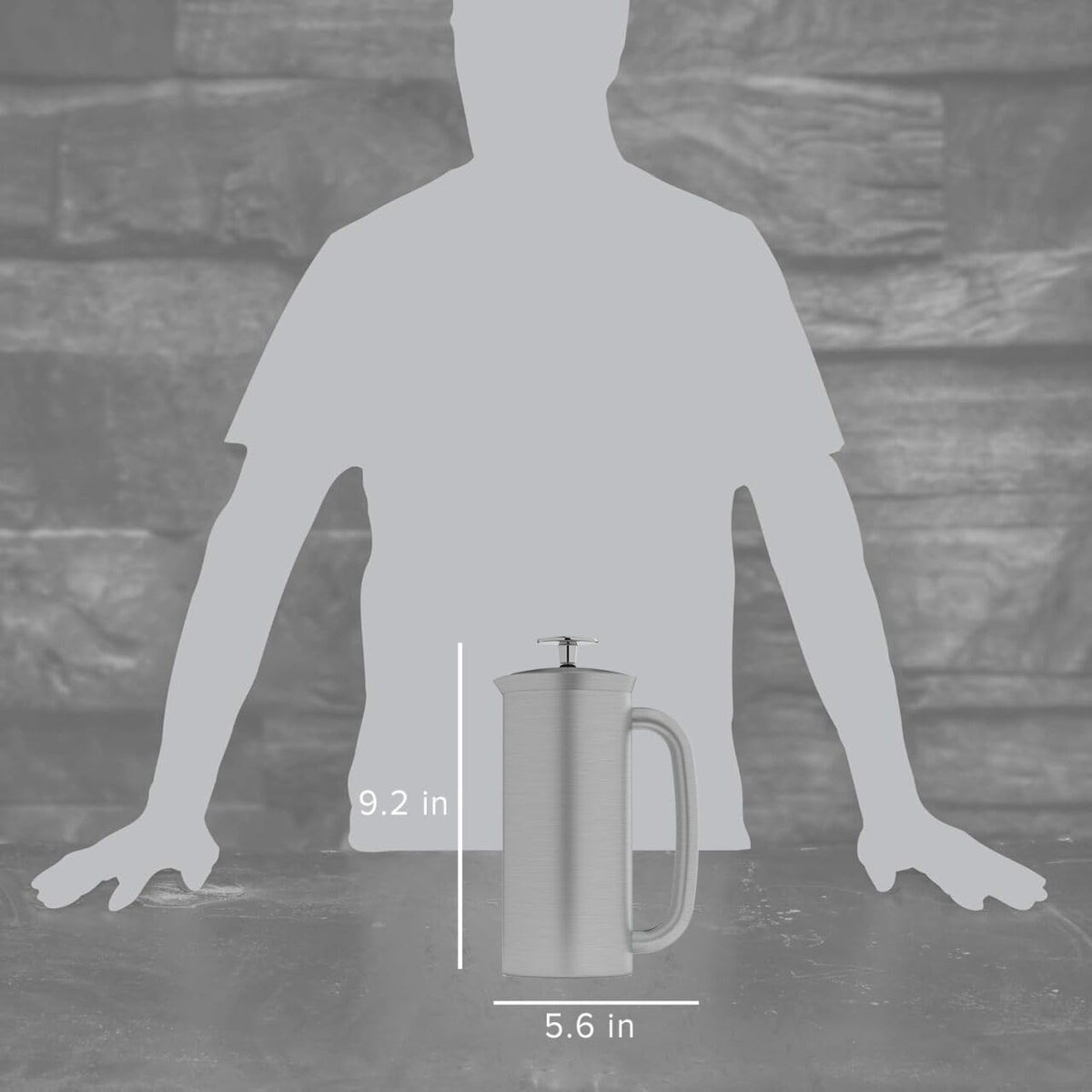 18oz Brushed Stainless Steel French Press R18243