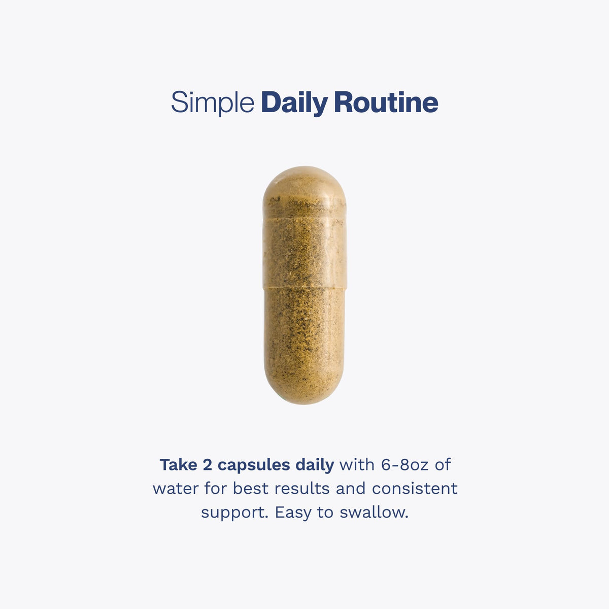 60 Capsules Prostate Support F255