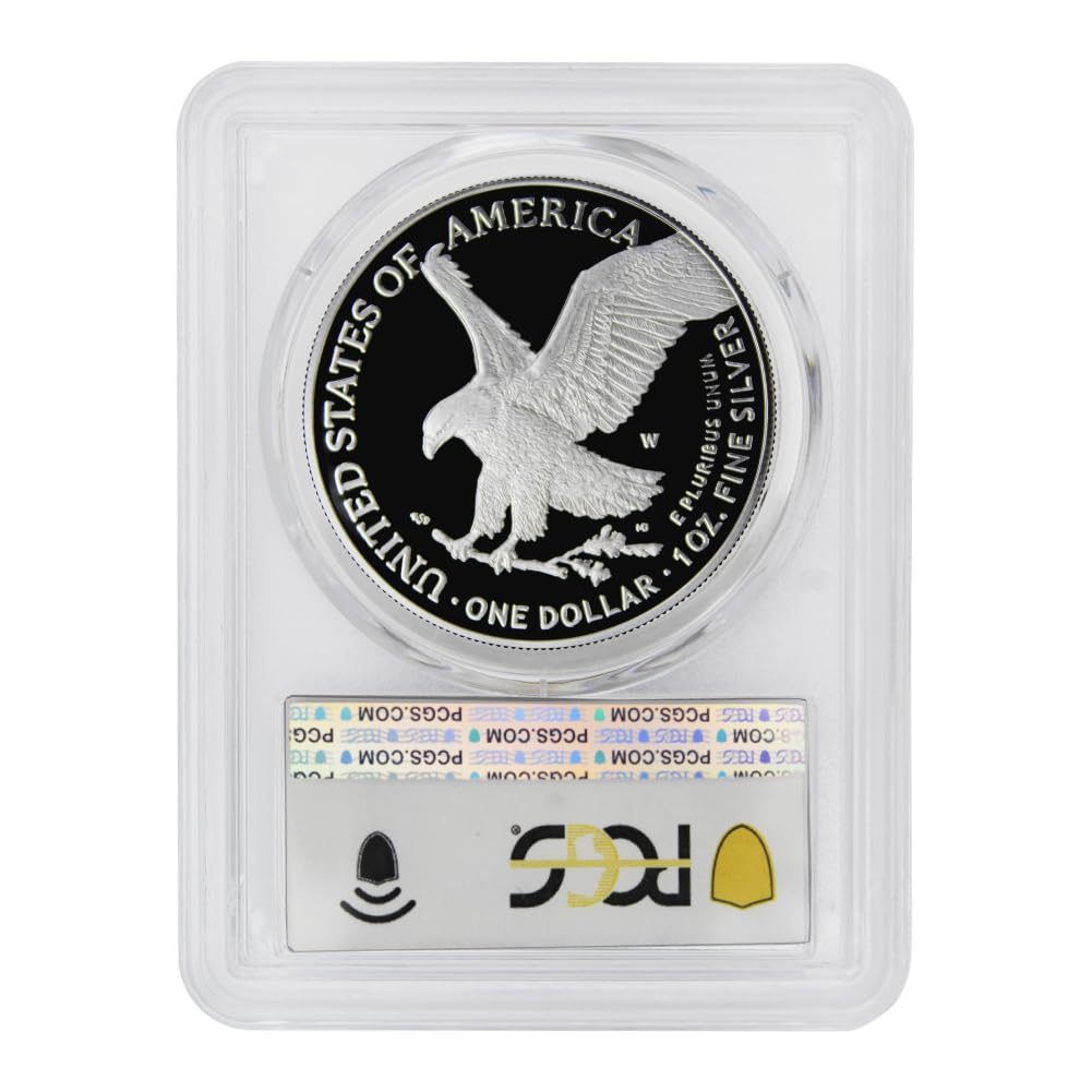 1 oz American Silver Eagle Coin X917
