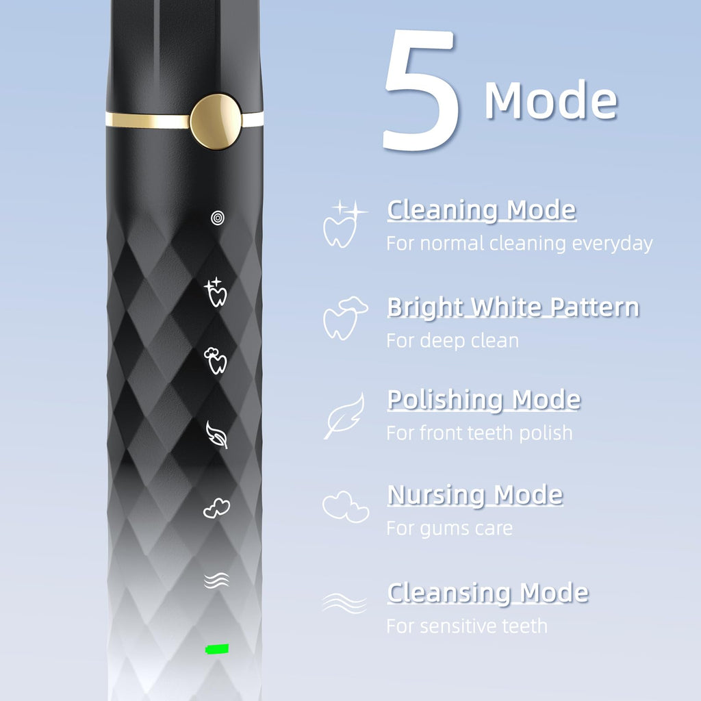 Black White Sonic Electric Toothbrush Set with 10 Brush Heads and Travel Case P721353