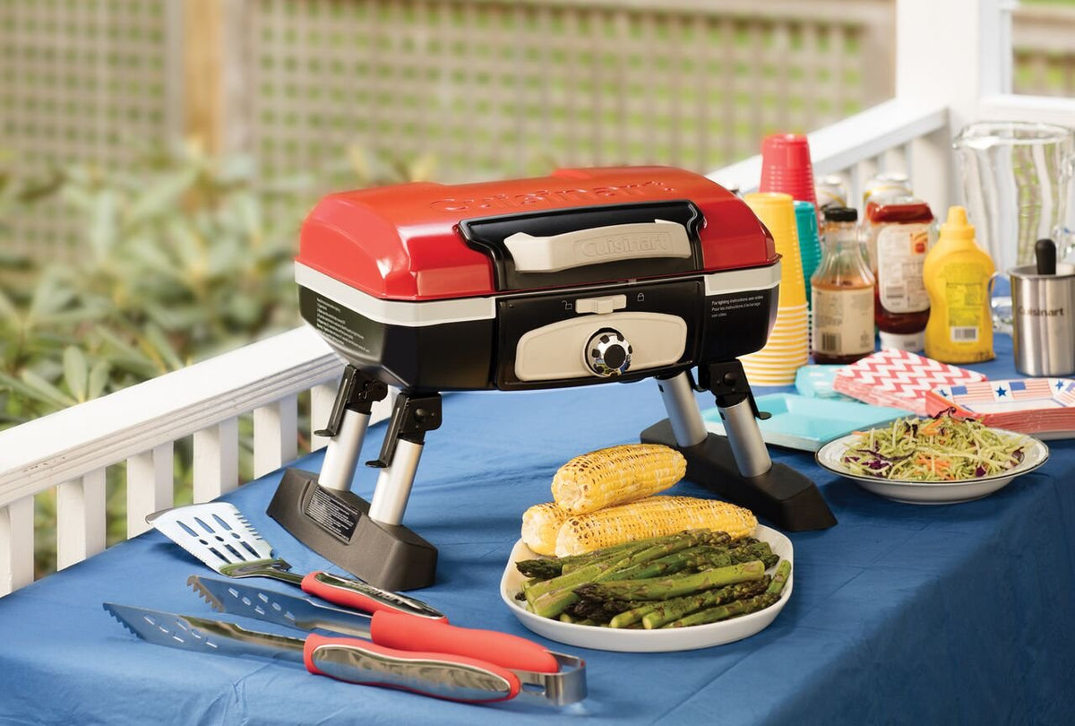 Portable Propane Gas Grill O28759