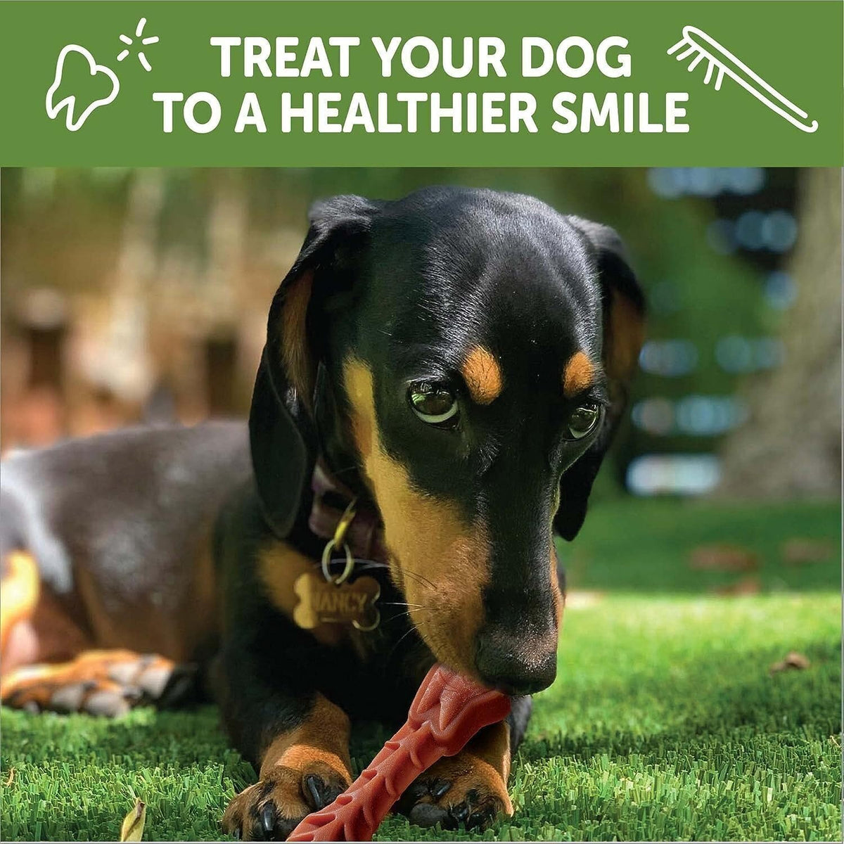Natural Grain-Free Dental Dog Treats Variety Pack D915