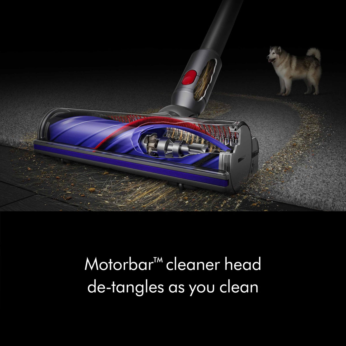 Cordless Vacuum, 115AW, 2 Power Modes Y91959