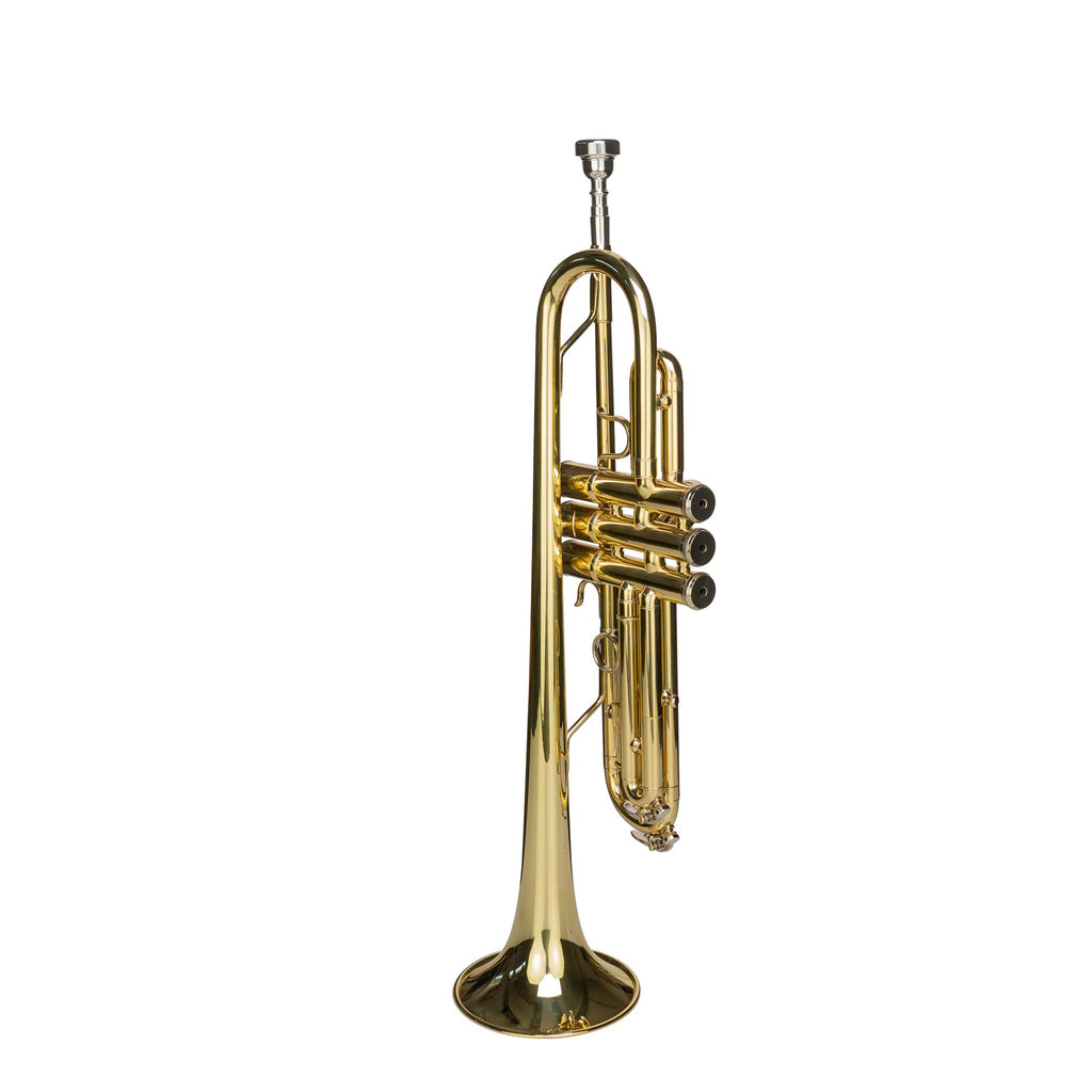 Bb Trumpet with Mouthpiece and Case H387117
