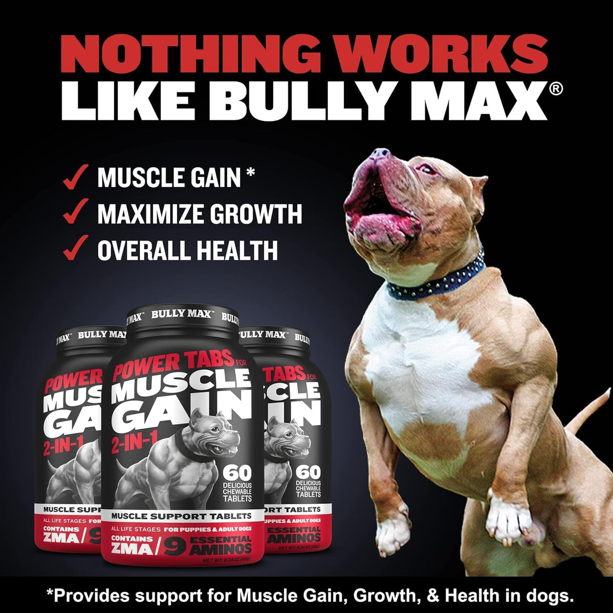 Dog Weight Gainer Chews & Muscle Builder Tablets & Liquid Muscle Builder Supplement B19513
