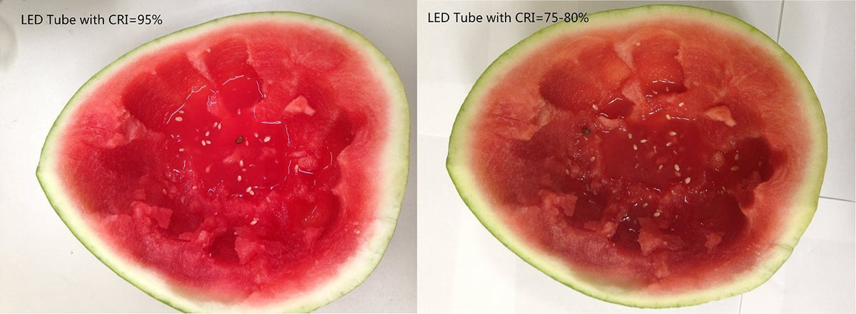 2ft Warm 3000K Dimmable T8 LED Tube H6215