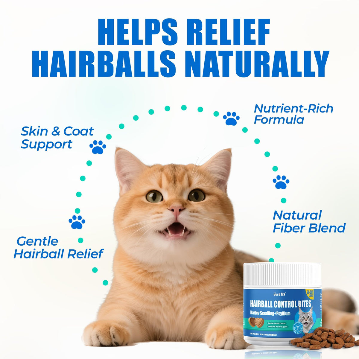 Hairball Control Cat Treats R99688