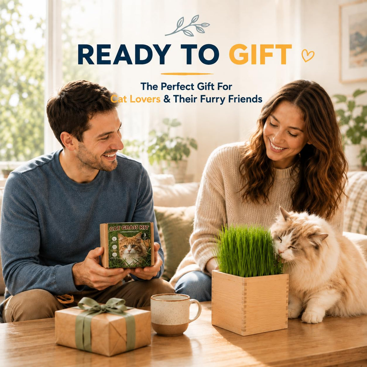 Cat Grass Growing Kit with Wooden Planter R53951