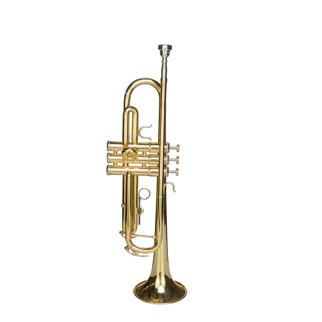 Bb Trumpet with Mouthpiece and Case H387117
