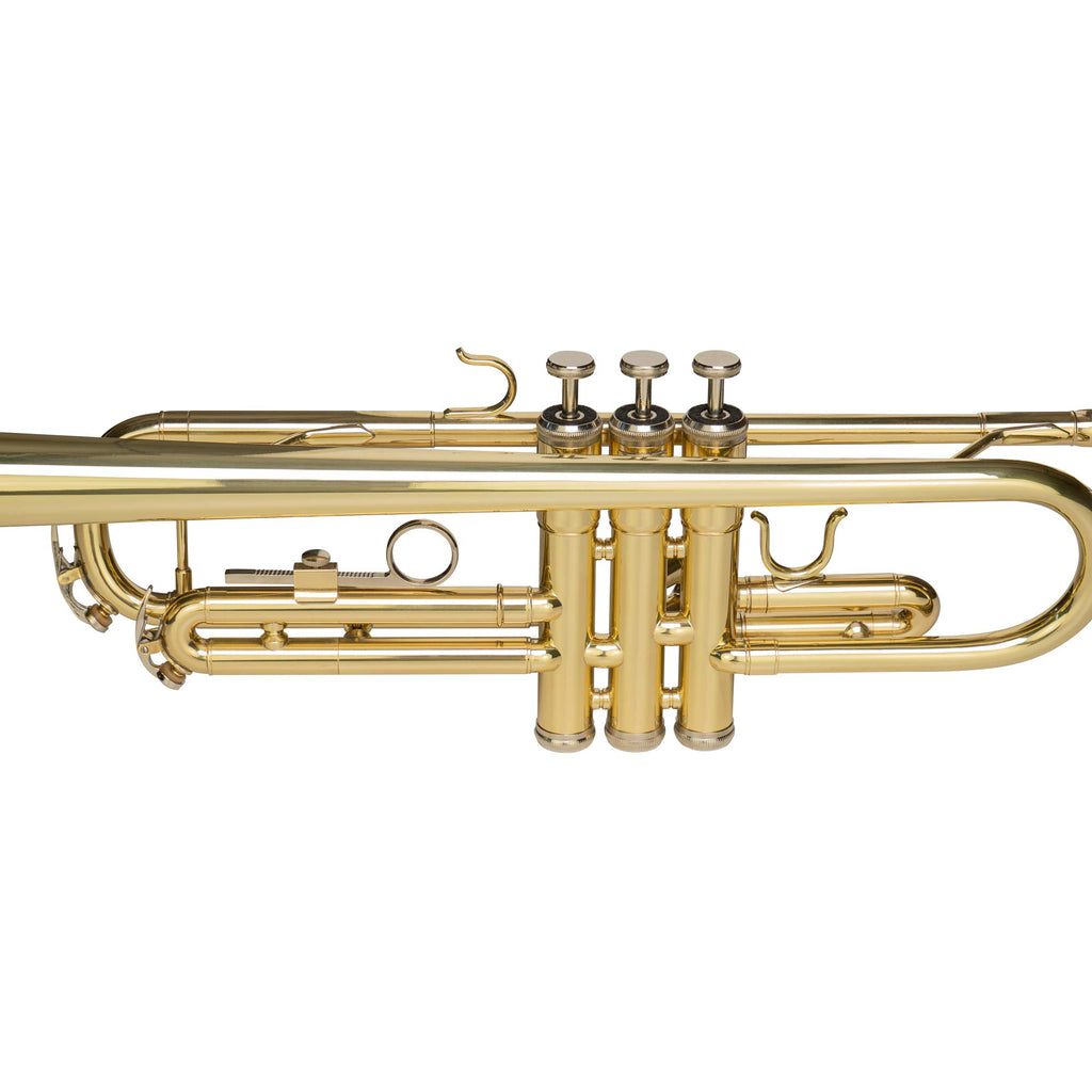 Bb Trumpet with Mouthpiece and Case H387117