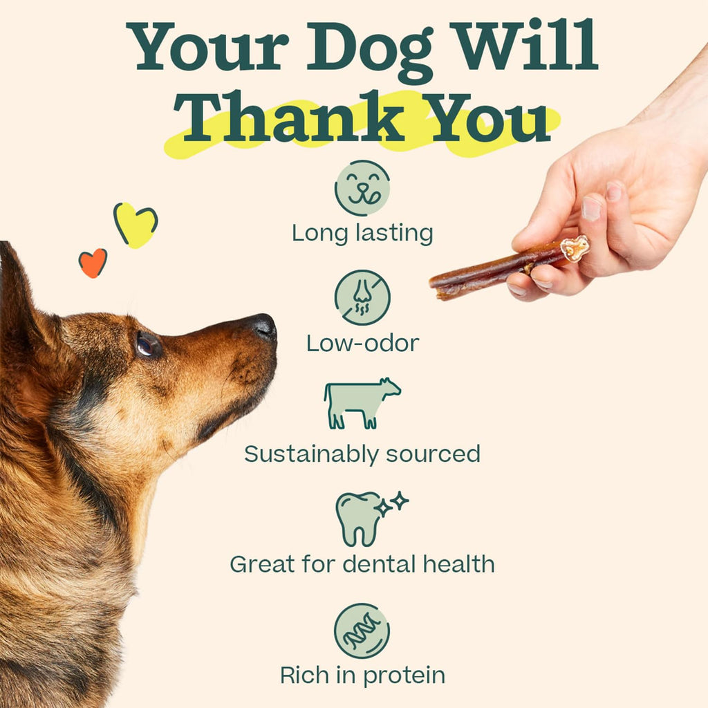 6 Inch 5 Count Dog Chew Treats E621279