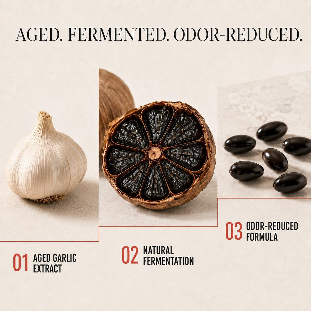 Aged Garlic Extract & Fermented Black Garlic Extract Softgels Q246