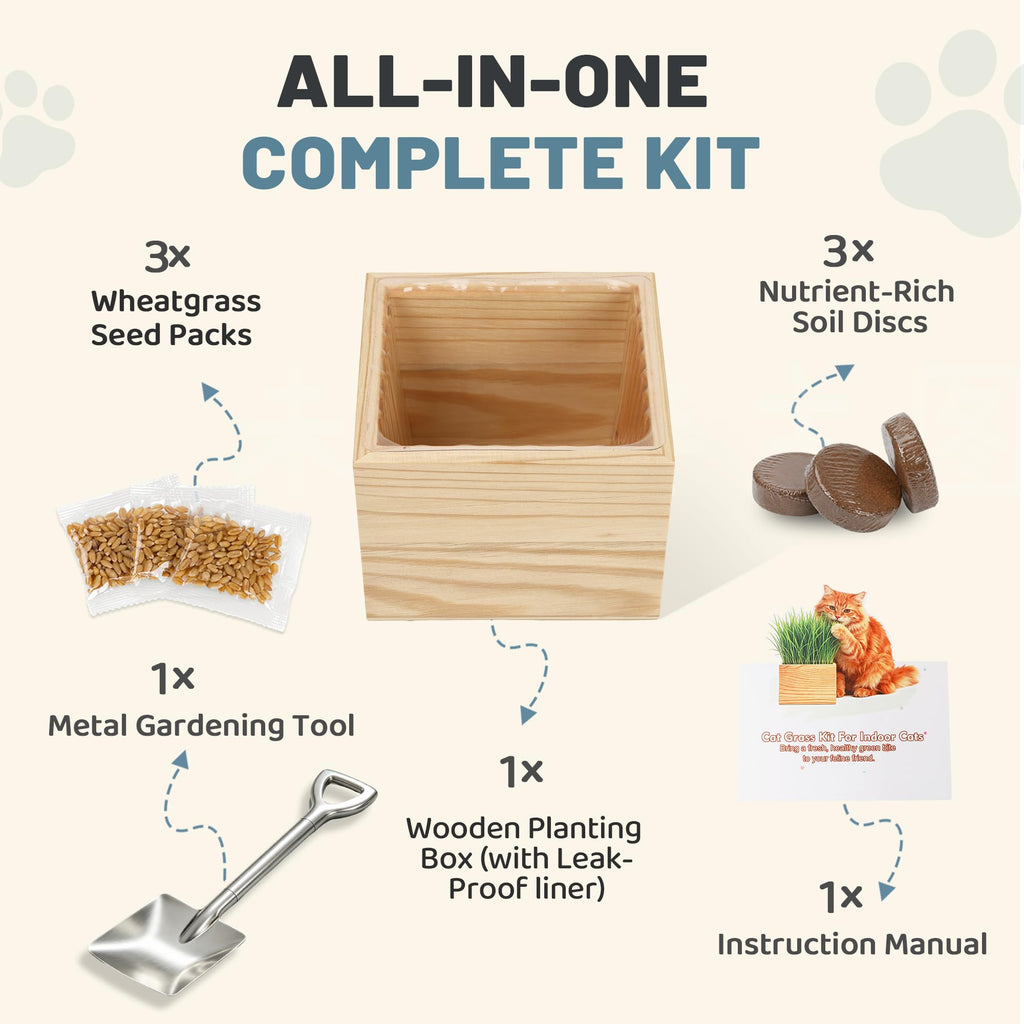 Cat Grass Growing Kit with Wooden Planter R53951