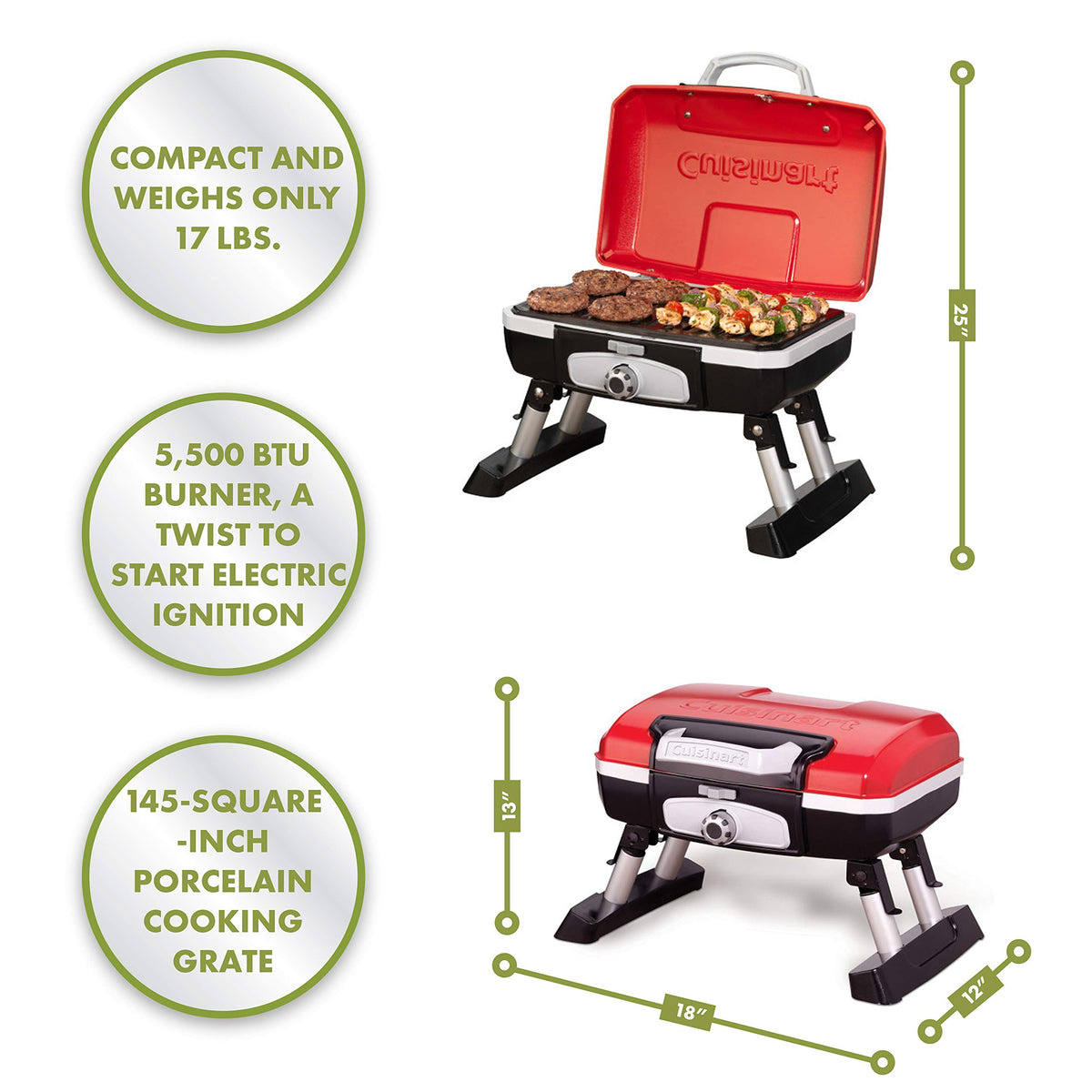 Portable Propane Gas Grill O28759