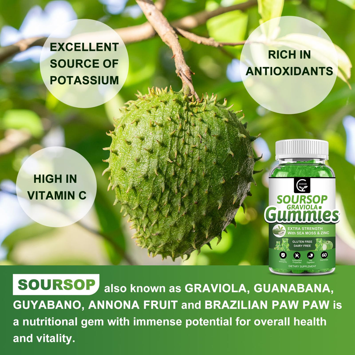 Organic Soursop Graviola Gummies 2200mg with Sea Moss Zinc Vitamin C 60 Gummies F336