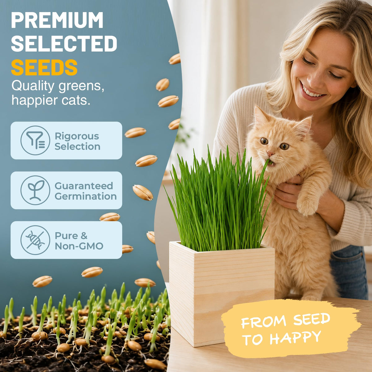 Cat Grass Growing Kit with Wooden Planter R53951