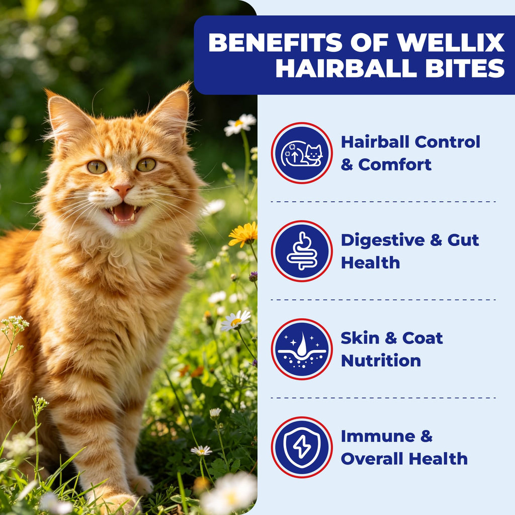 10.58 oz Hairball Bites for Cats Z624