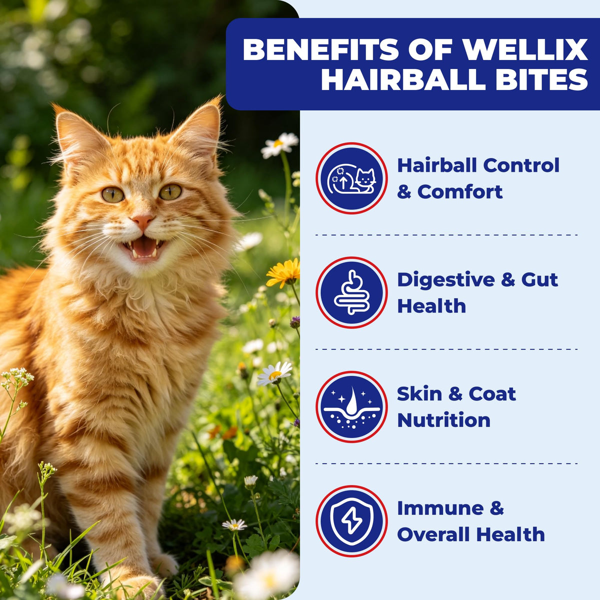 10.58 oz Hairball Bites for Cats Z624