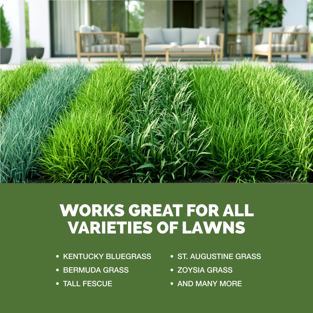 Liquid Lawn Fertilizer 1 Gallon T15131