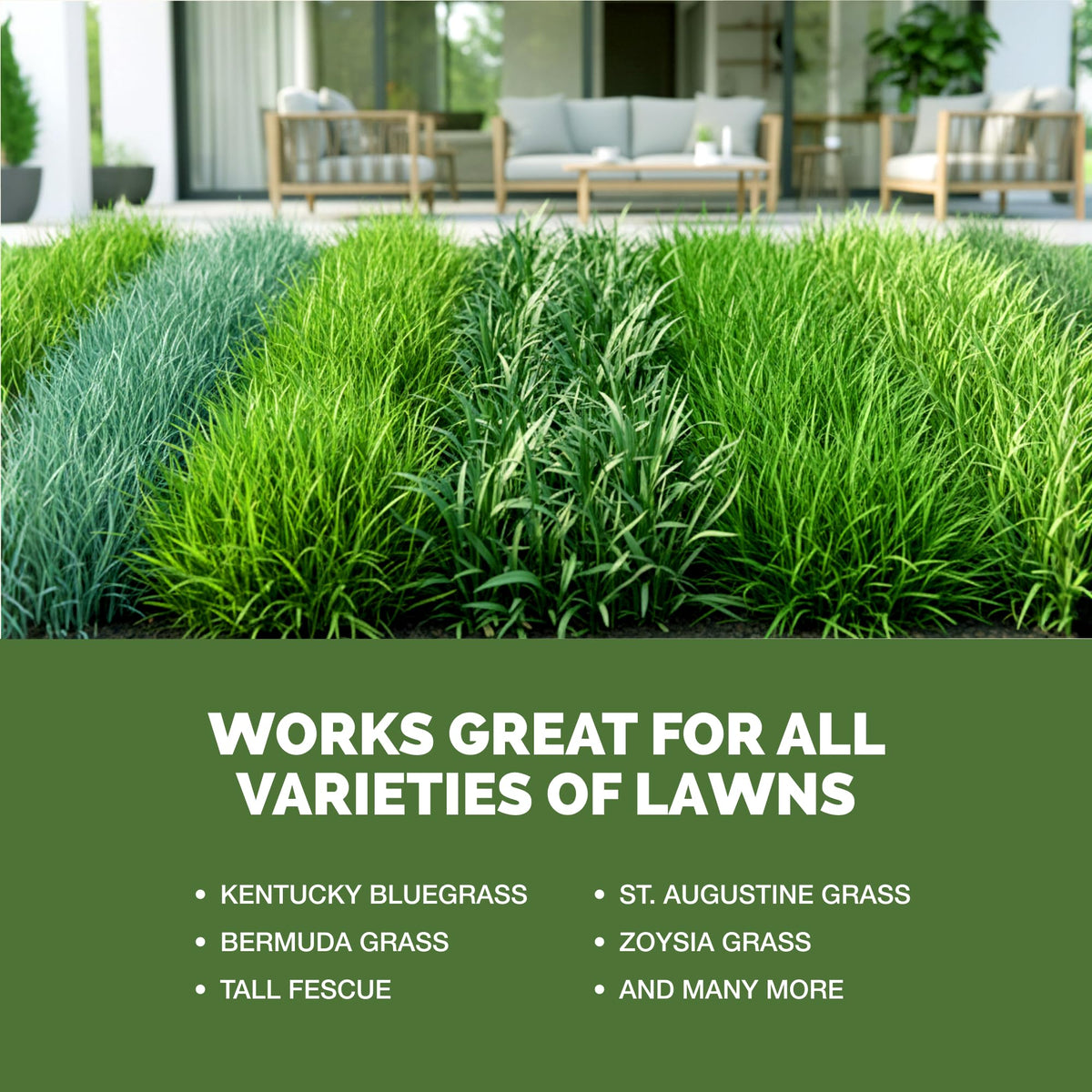 Liquid Lawn Fertilizer 1 Gallon T15131
