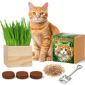 Cat Grass Growing Kit with Wooden Planter R53951