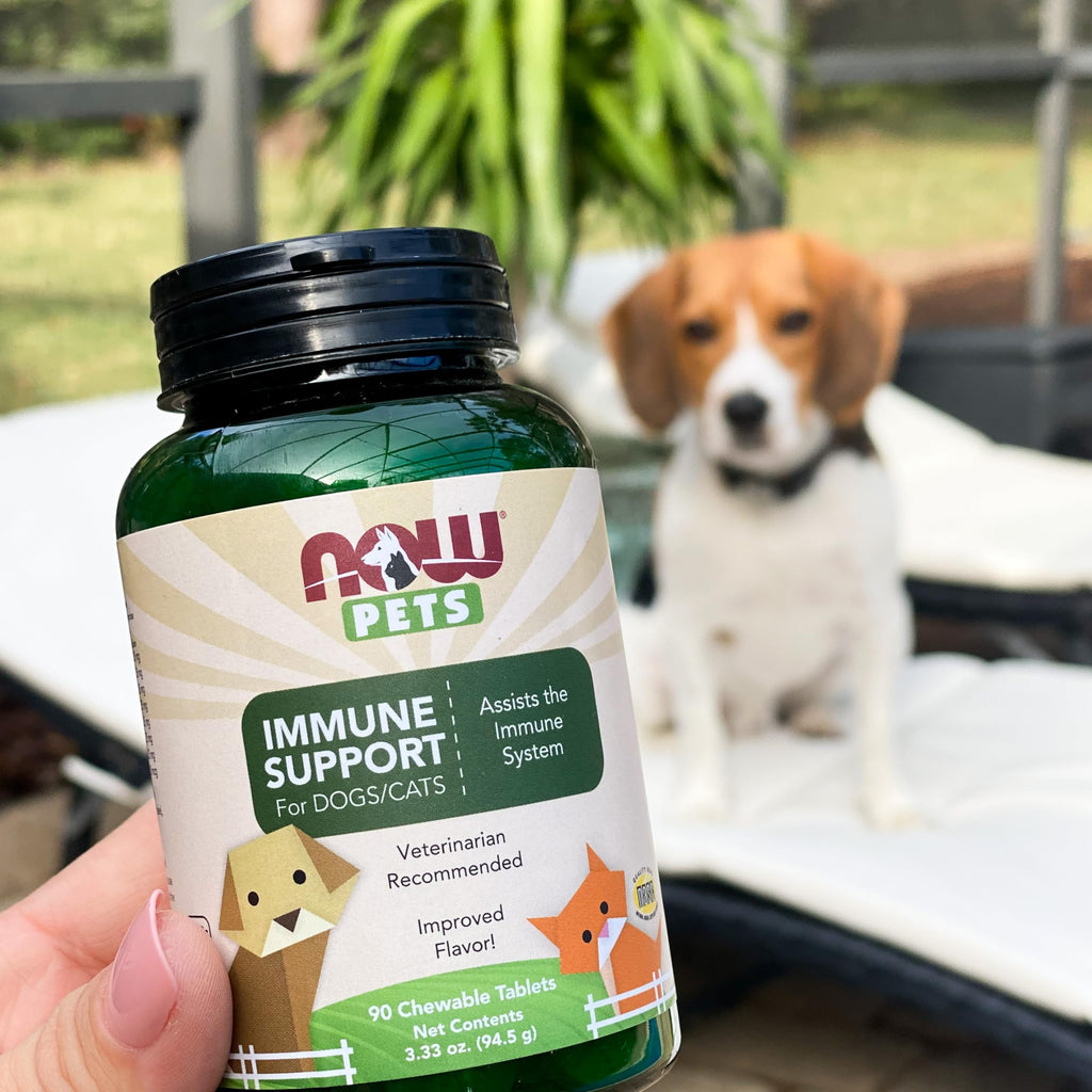Immune Support Supplement for Cats & Dogs 90 Chewable Tablets O601173
