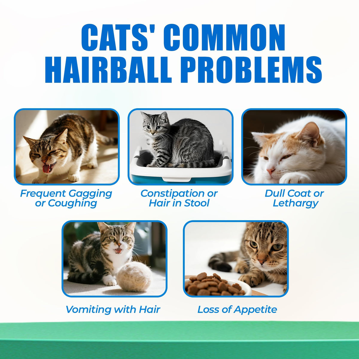Hairball Control Cat Treats R99688