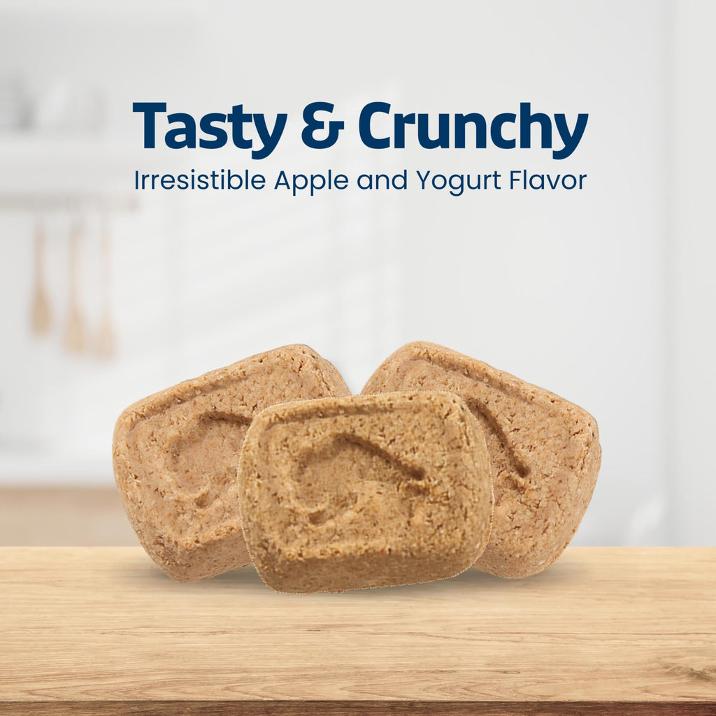 Mini Dog Biscuits N3574