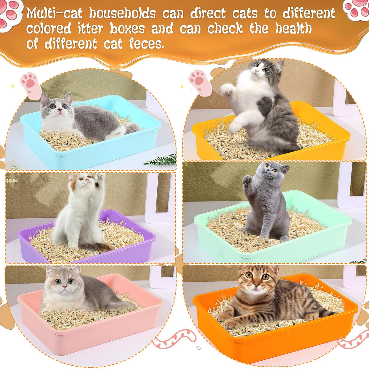 6 Pcs Plastic Kitten Litter Box Set with Scooper P589