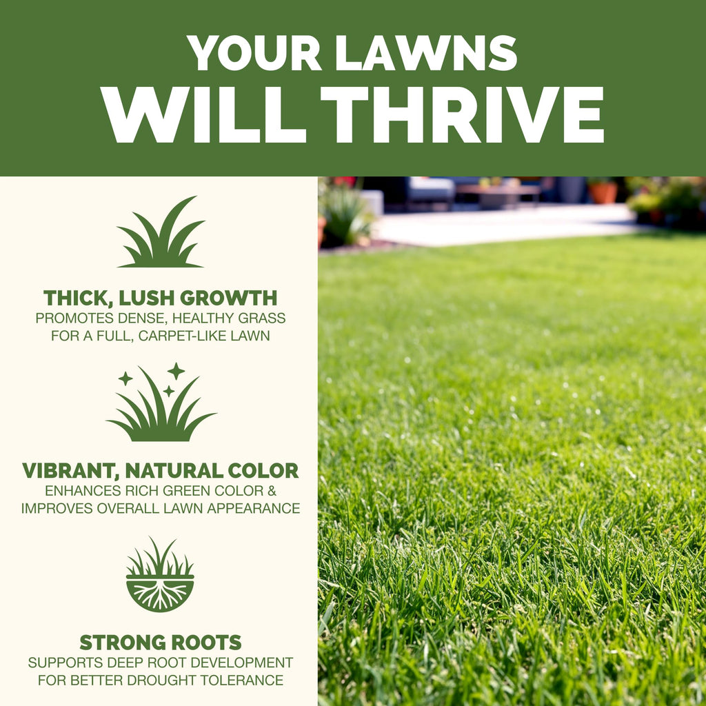 Liquid Lawn Fertilizer 1 Gallon T15131