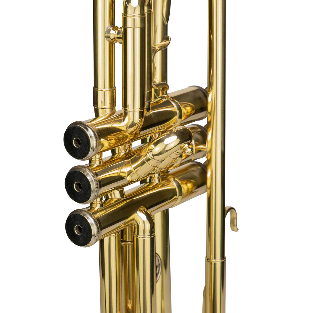 Bb Trumpet with Mouthpiece and Case H387117